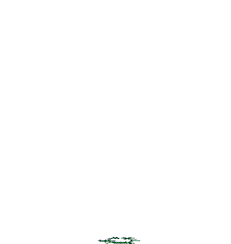 拉斐尔其一